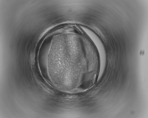 X0000091490484200709061904