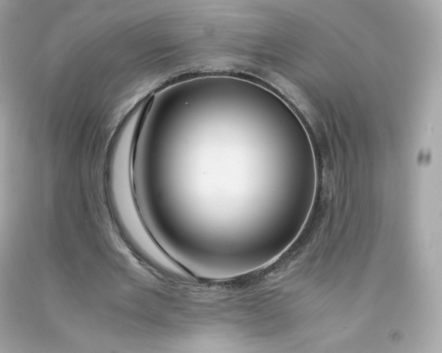 X0000091490485200709061904