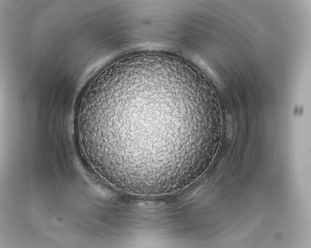 X0000091490486200709061904