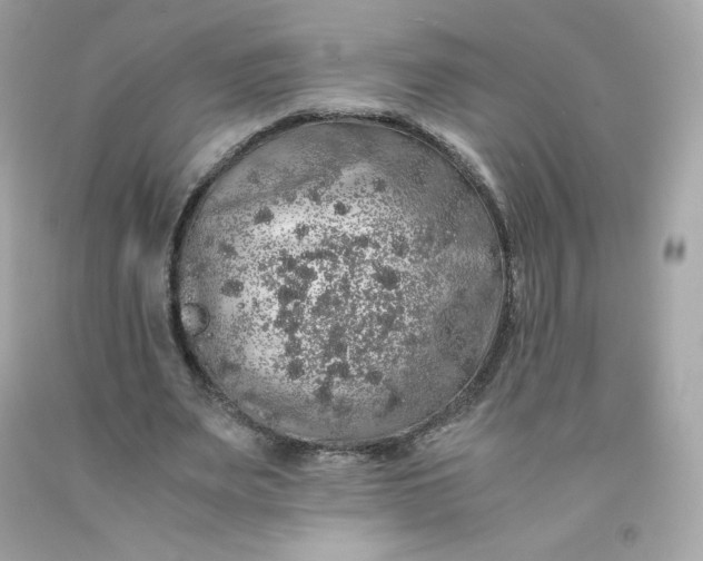 X0000091490487200709061904