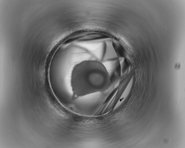 X0000091490488200709061904