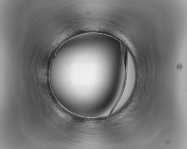 X0000091490489200709061904