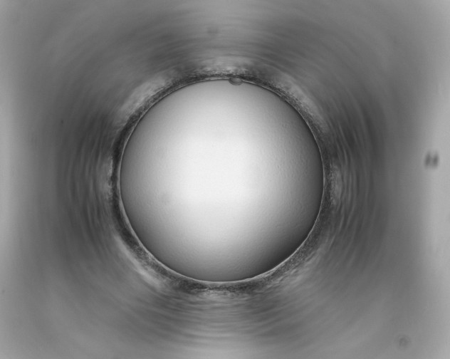 X0000091490490200709061904