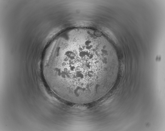 X0000091490491200709061904