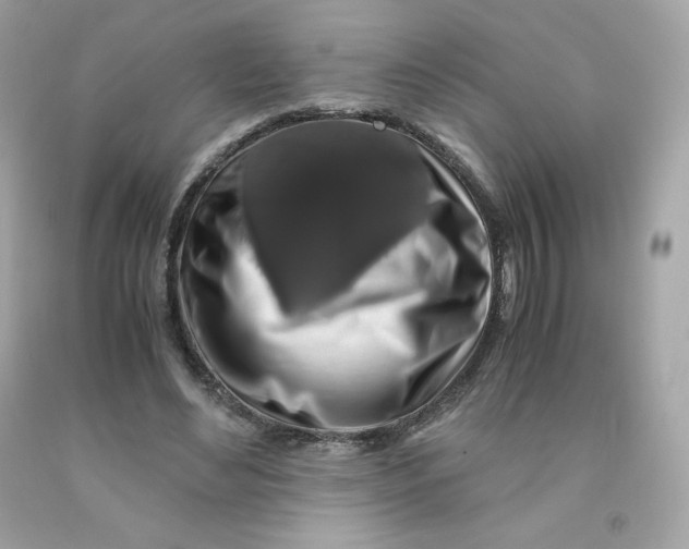 X0000091490492200709061904