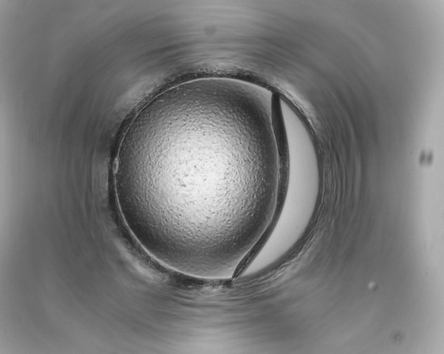 X0000091490493200709061904