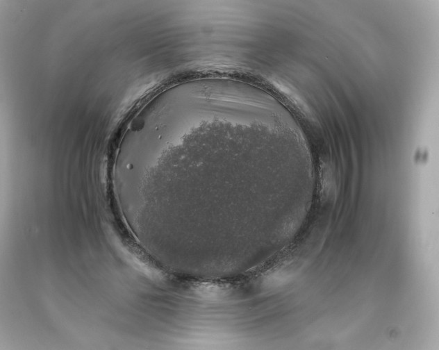 X0000091490494200709061904