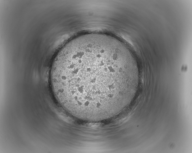 X0000091490495200709061904