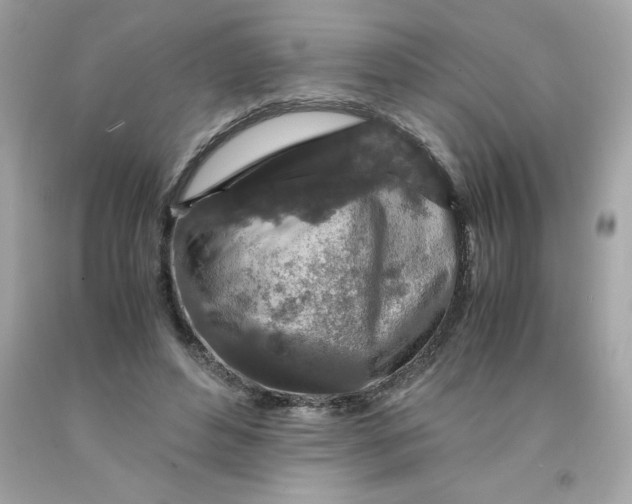 X0000091490496200709061904