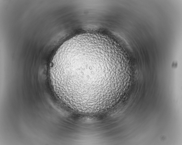 X0000091490498200709061904