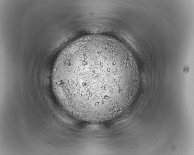 X0000091490499200709061904