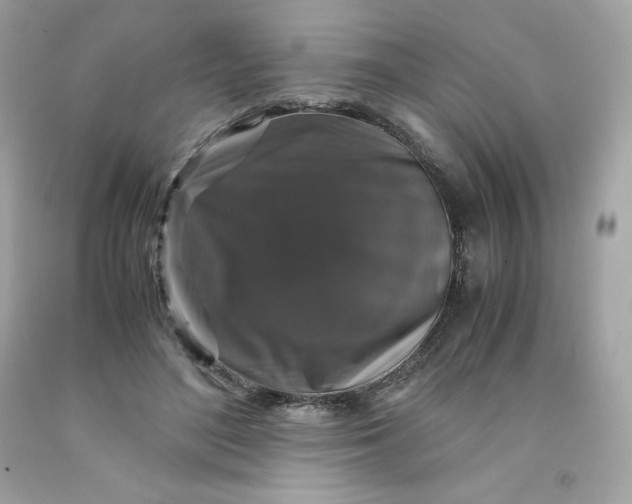 X0000091490500200709061904