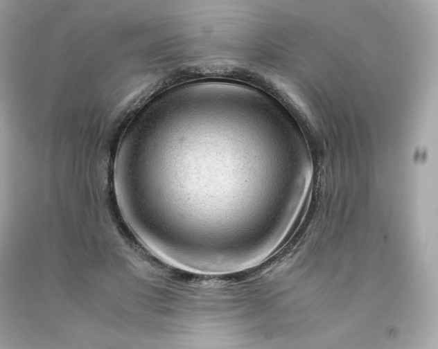 X0000091490501200709061904