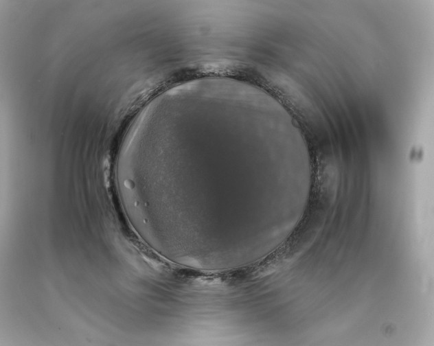 X0000091490502200709061904