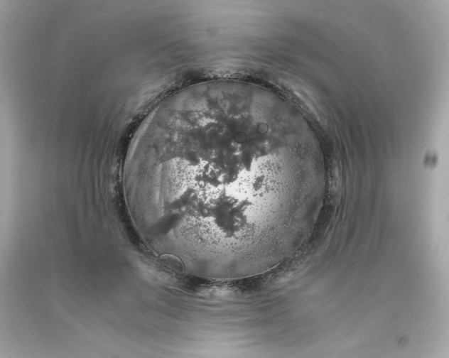 X0000091490503200709061904