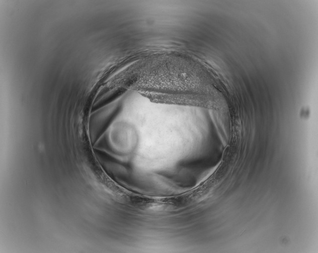 X0000091490504200709061904