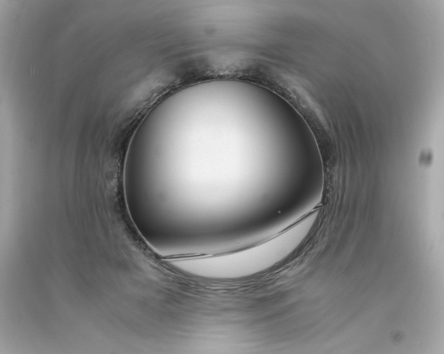 X0000091490505200709061904