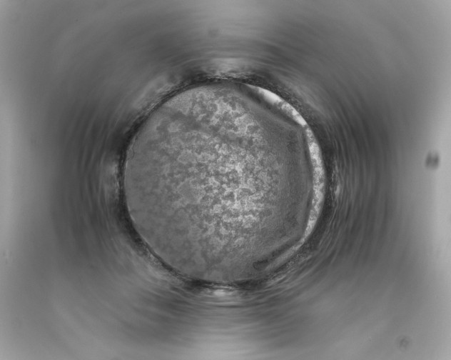 X0000091490506200709061904