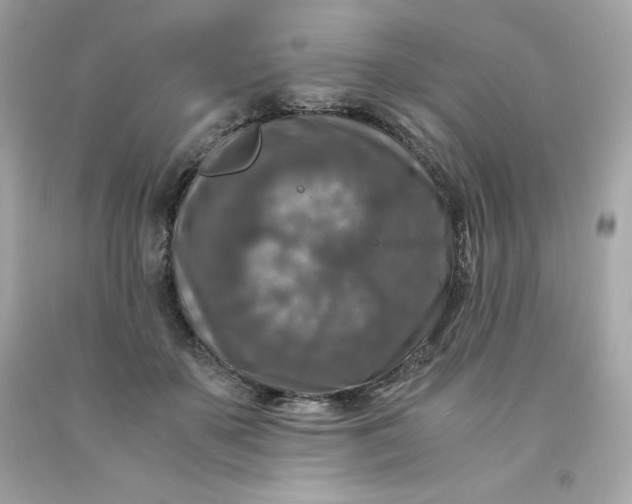 X0000091490507200709061904