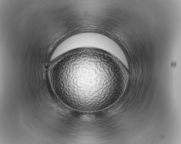 X0000091490508200709061904