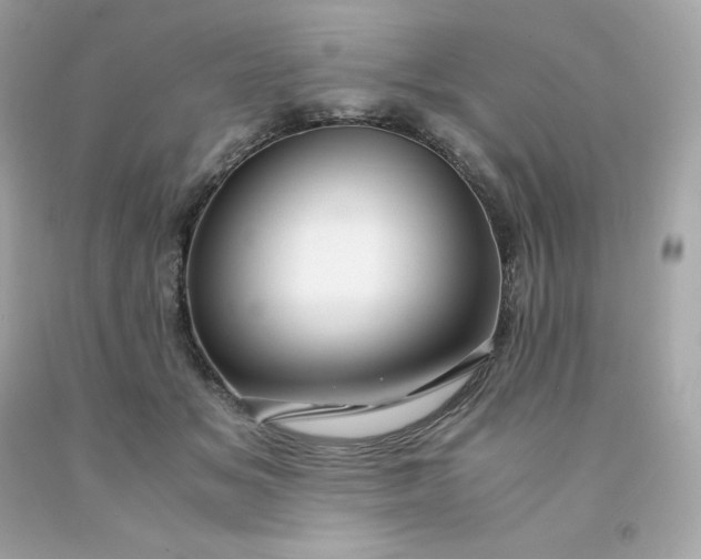 X0000091490509200709061904