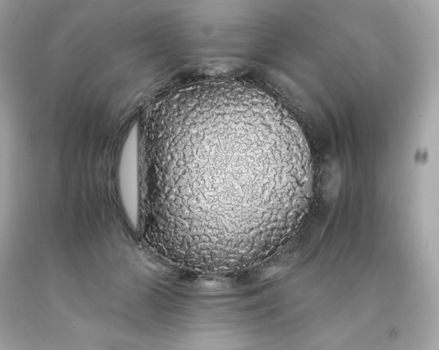 X0000091490510200709061904