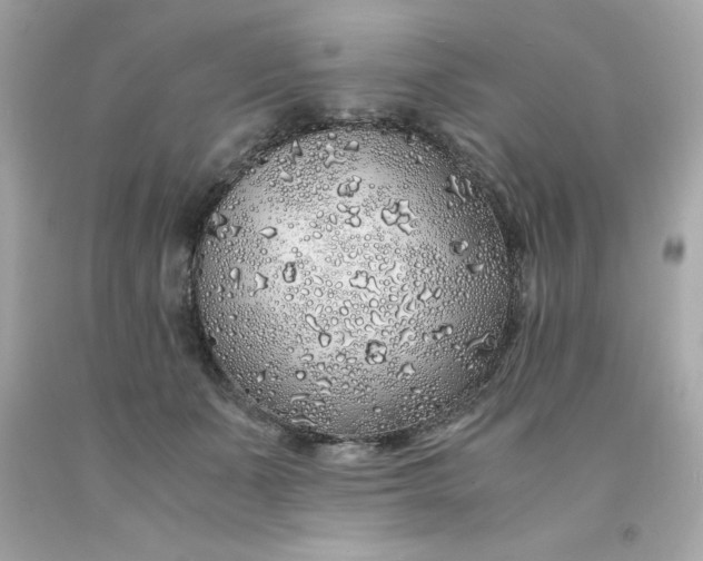 X0000091490511200709061904