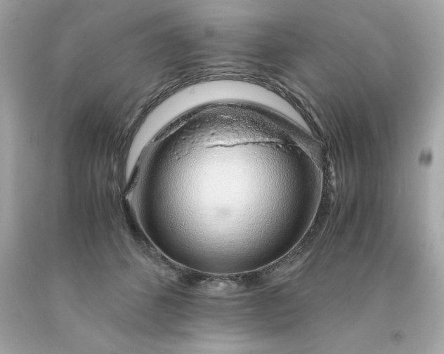 X0000091490512200709061904