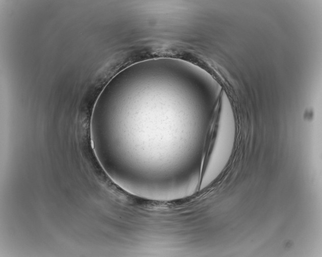 X0000091490513200709061904