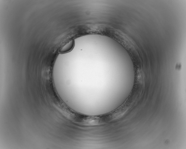 X0000091490514200709061904