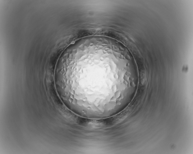 X0000091490515200709061904