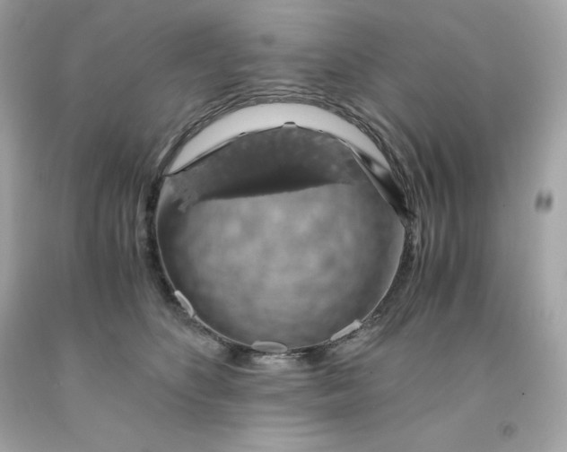 X0000091490516200709061904