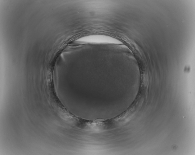 X0000091490517200709061904