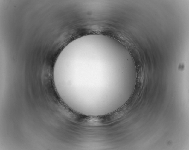 X0000091490518200709061904