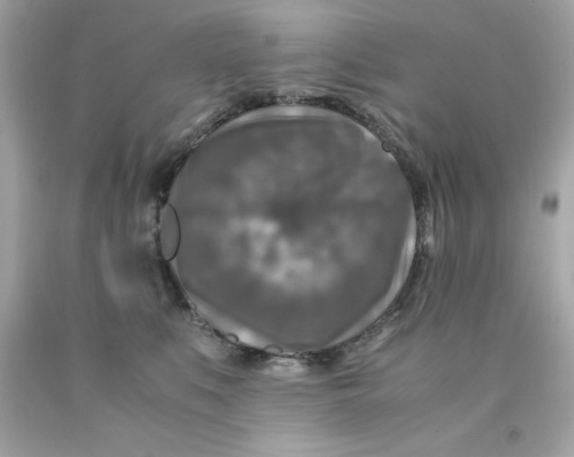 X0000091490519200709061904