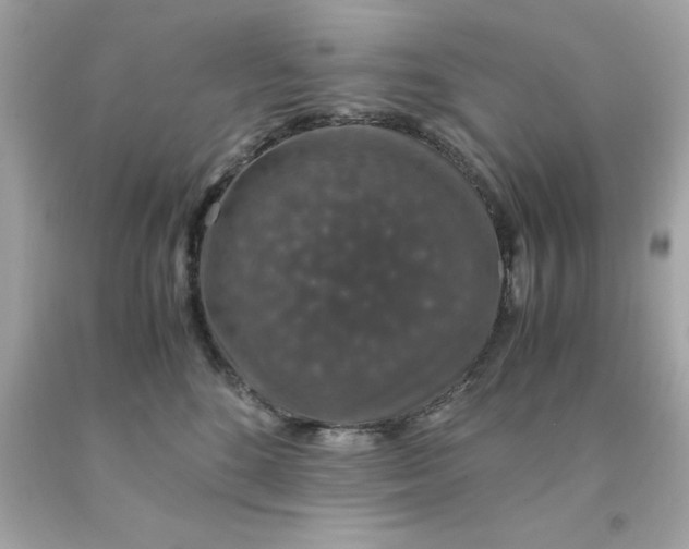 X0000091490520200709061903