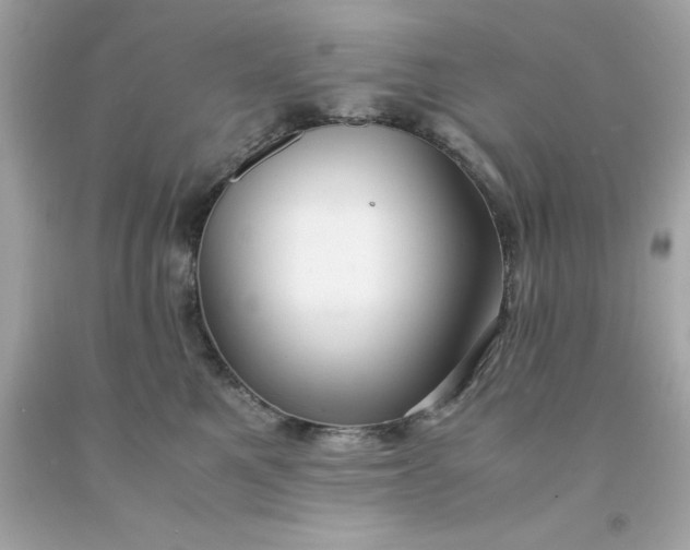 X0000091490521200709061903