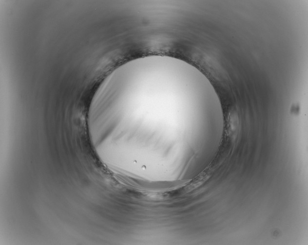 X0000091490522200709061903