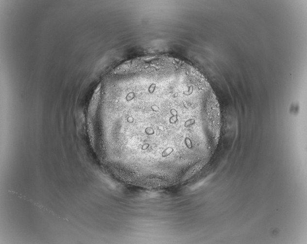 X0000091490523200709061903