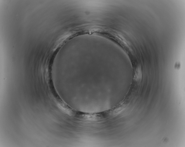 X0000091490524200709061903