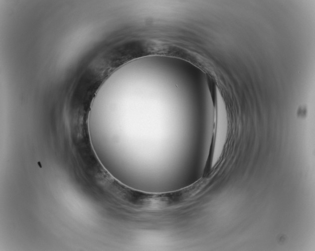 X0000091490525200709061903