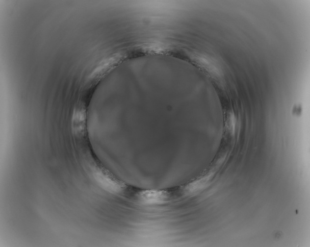 X0000091490526200709061903