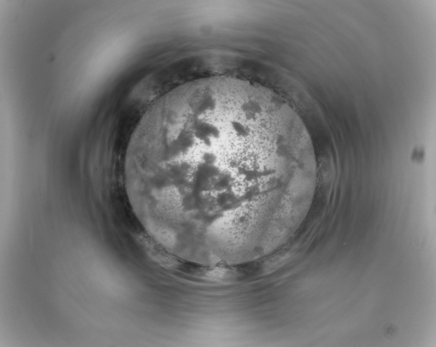 X0000091490527200709061903