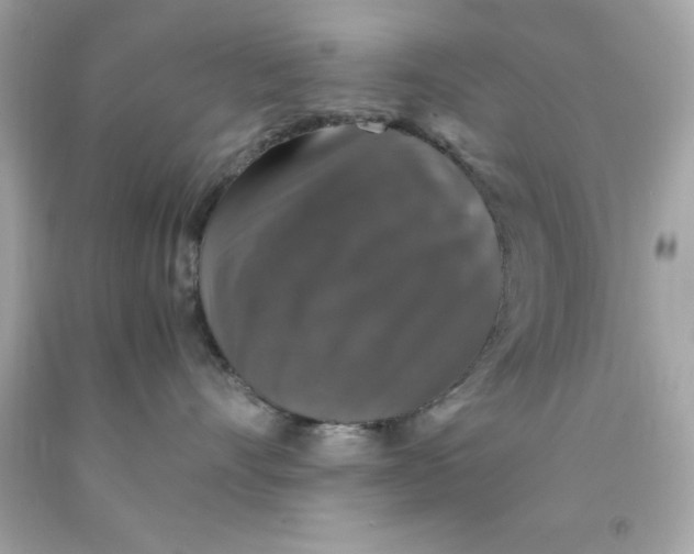 X0000091490528200709061903