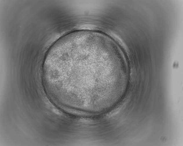 X0000091490529200709061903