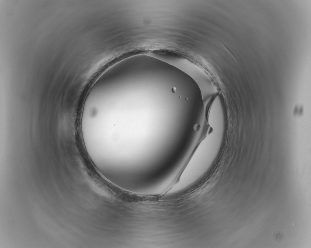 X0000091490530200709061903