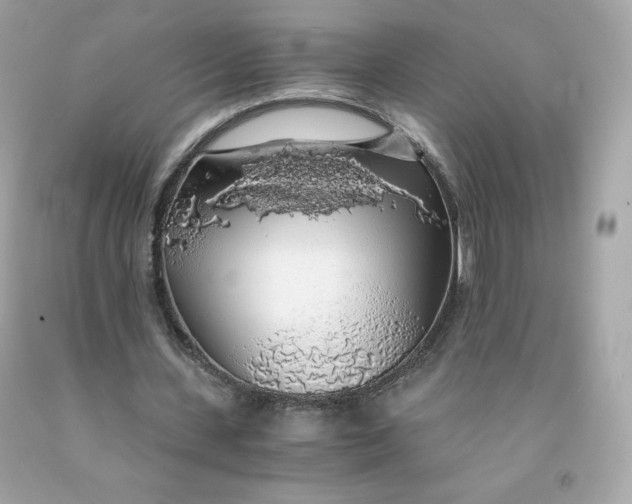 X0000091490531200709061903