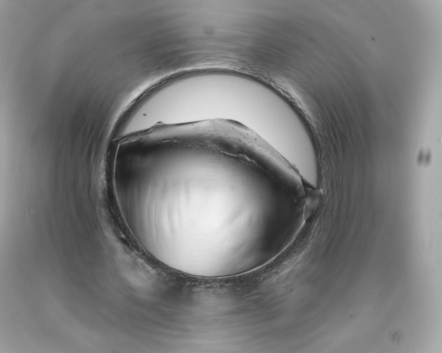 X0000091490532200709061903