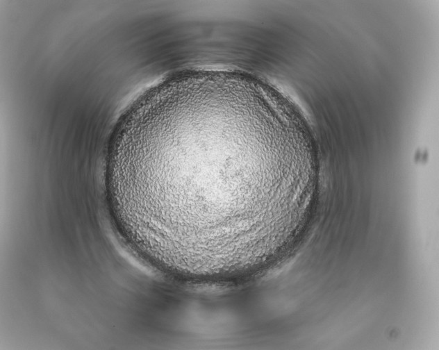 X0000091490533200709061903