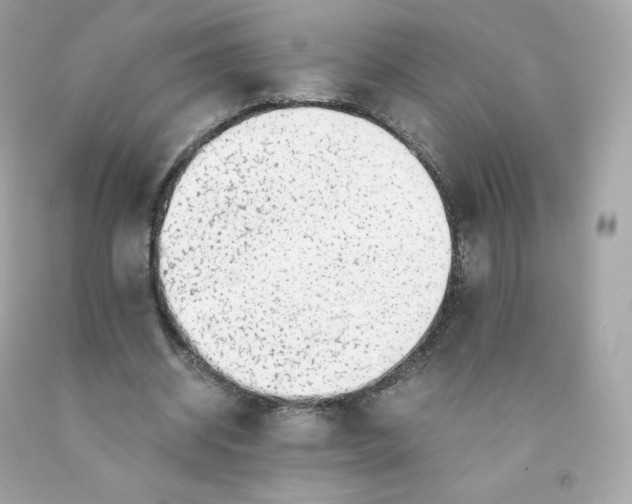 X0000091490534200709061903